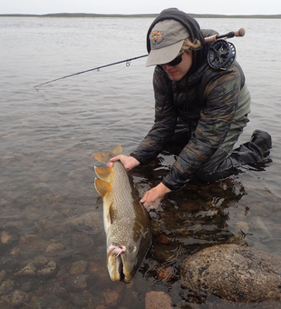 Arctic Treasures, Trout Pleasures